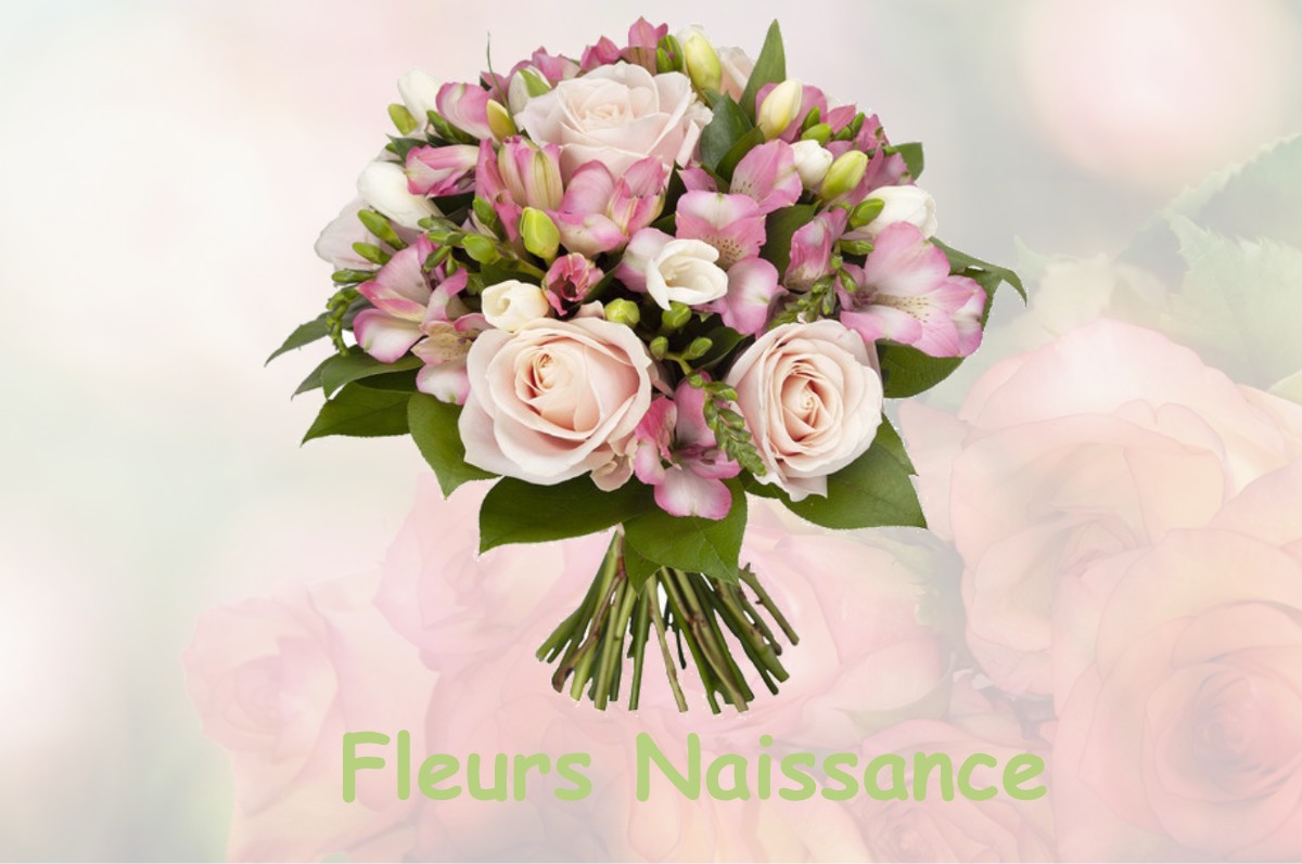 fleurs naissance MOULINET