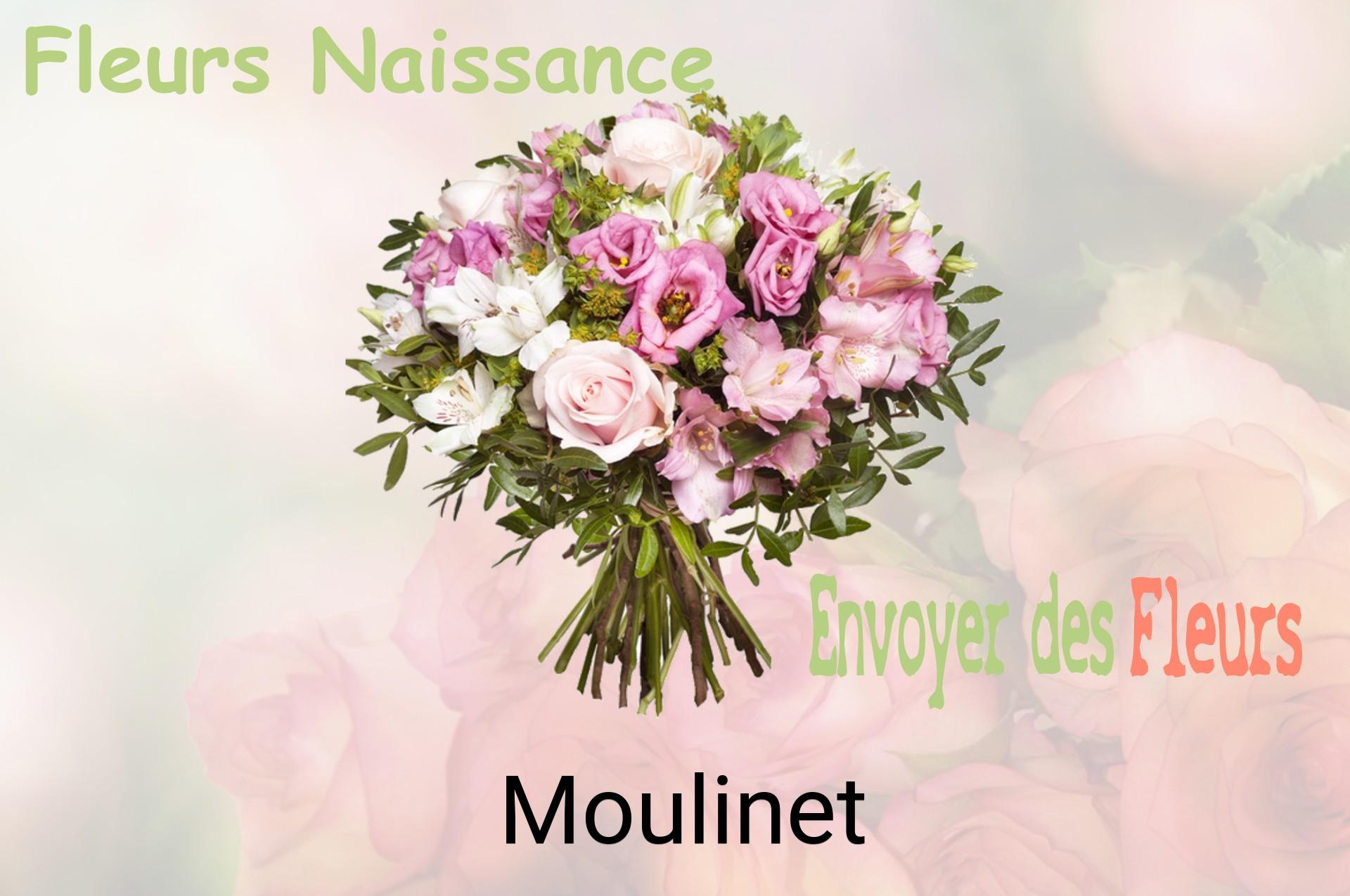 Bouquet de fleurs de naissance livré à Moulinet