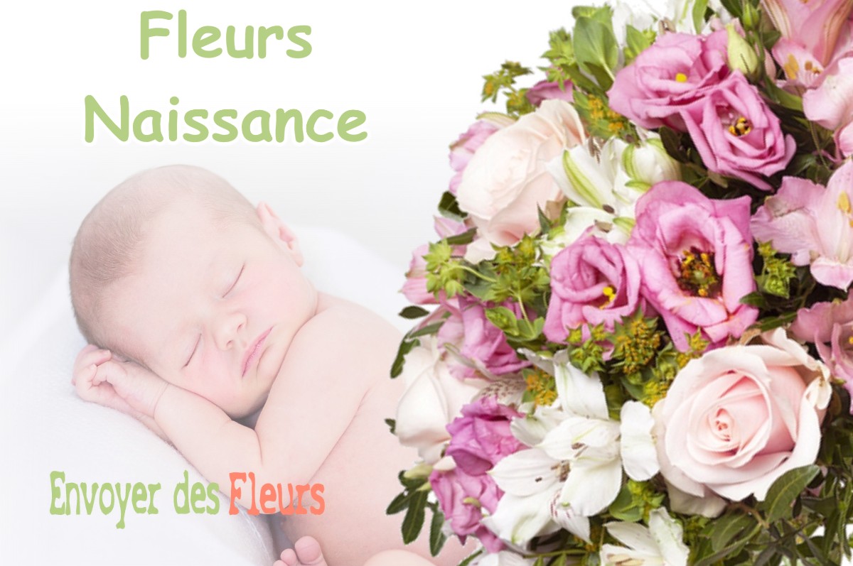 lIVRAISON FLEURS NAISSANCE à MOULINET